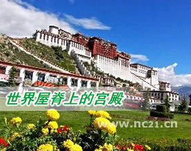 谭博文：世界屋脊上的宫殿