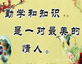 名言警句大全