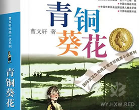 曹文轩：青铜葵花
